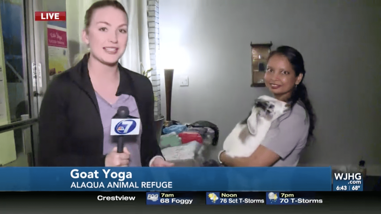 Goat Yoga Offers a Unique Way to Exercise