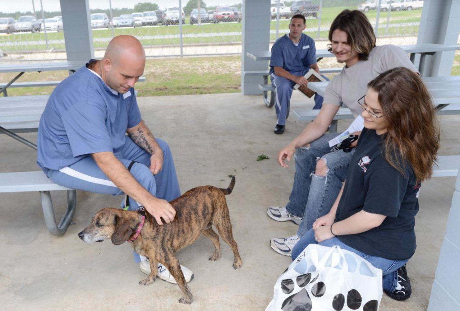 VIDEO: Inmates from Walton Correctional Institution train dogs from Alaqua Animal Refuge to help make them more adoptable.