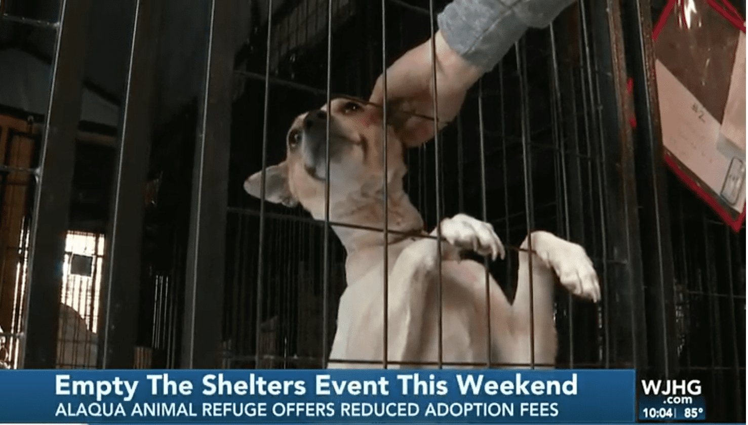 Alaqua Animal Refuge Holds “Empty the Shelters” Event