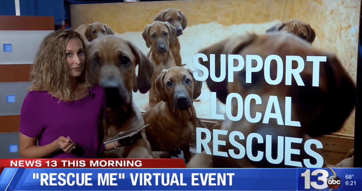 Alaqua Animal Refuge to Host Virtual Live Auction & Event