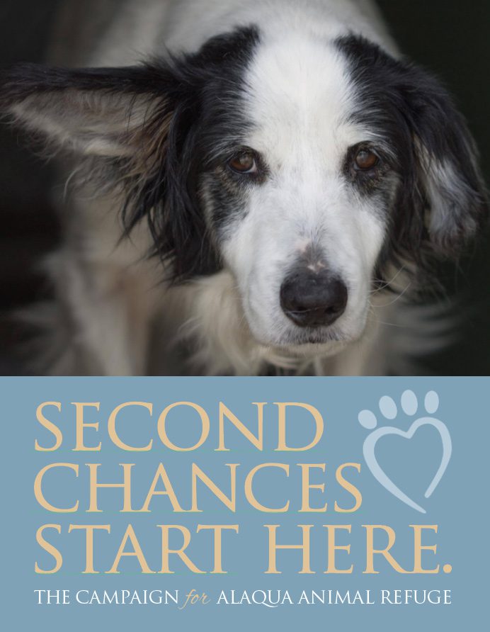 Second Chances Start Here campaign sign