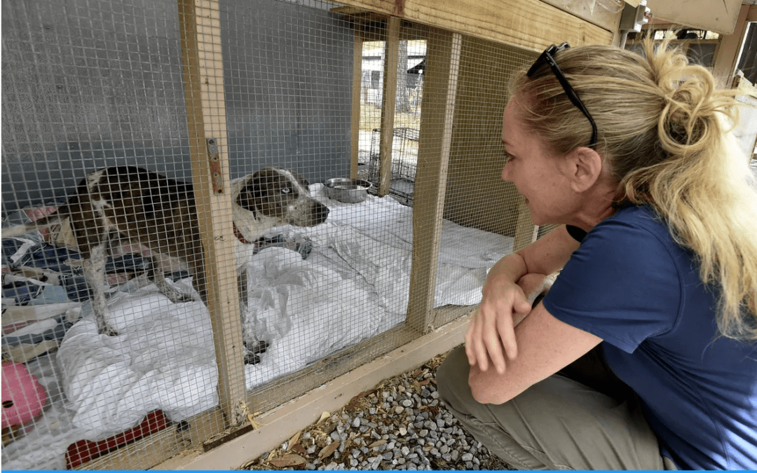 Alaqua Animal Refuge to Reopen this Week with Limited Schedule