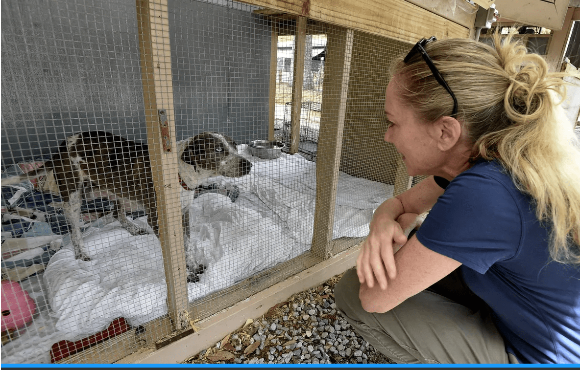 Alaqua Animal Refuge to Reopen this Week with Limited Schedule