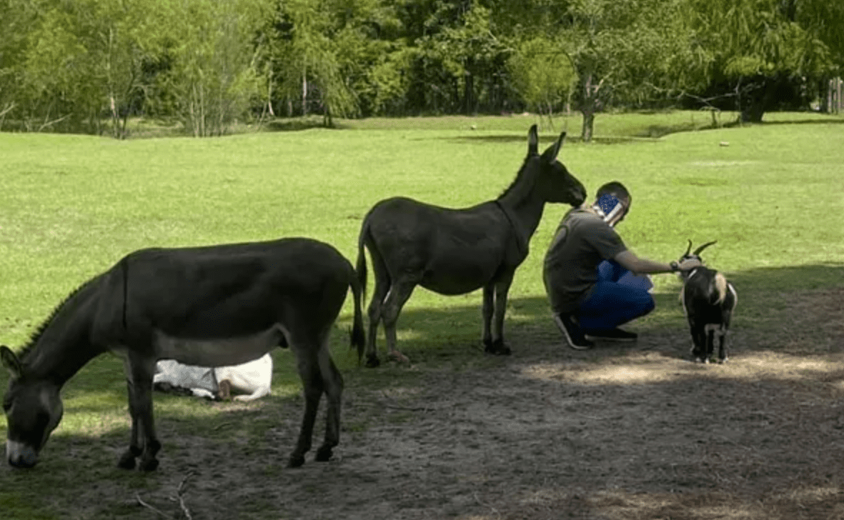 Alaqua Animal Refuge Helps Horses Help Veterans Find Hope