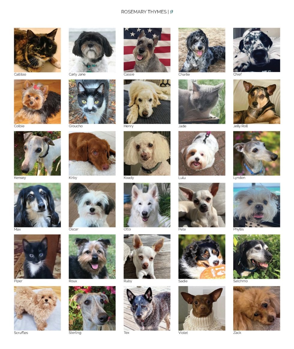 10th Annual Rosemary Beach Unleashed Dog Festival Alaqua