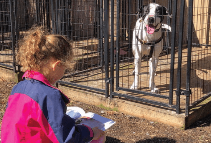 Club Connects Children with Animals