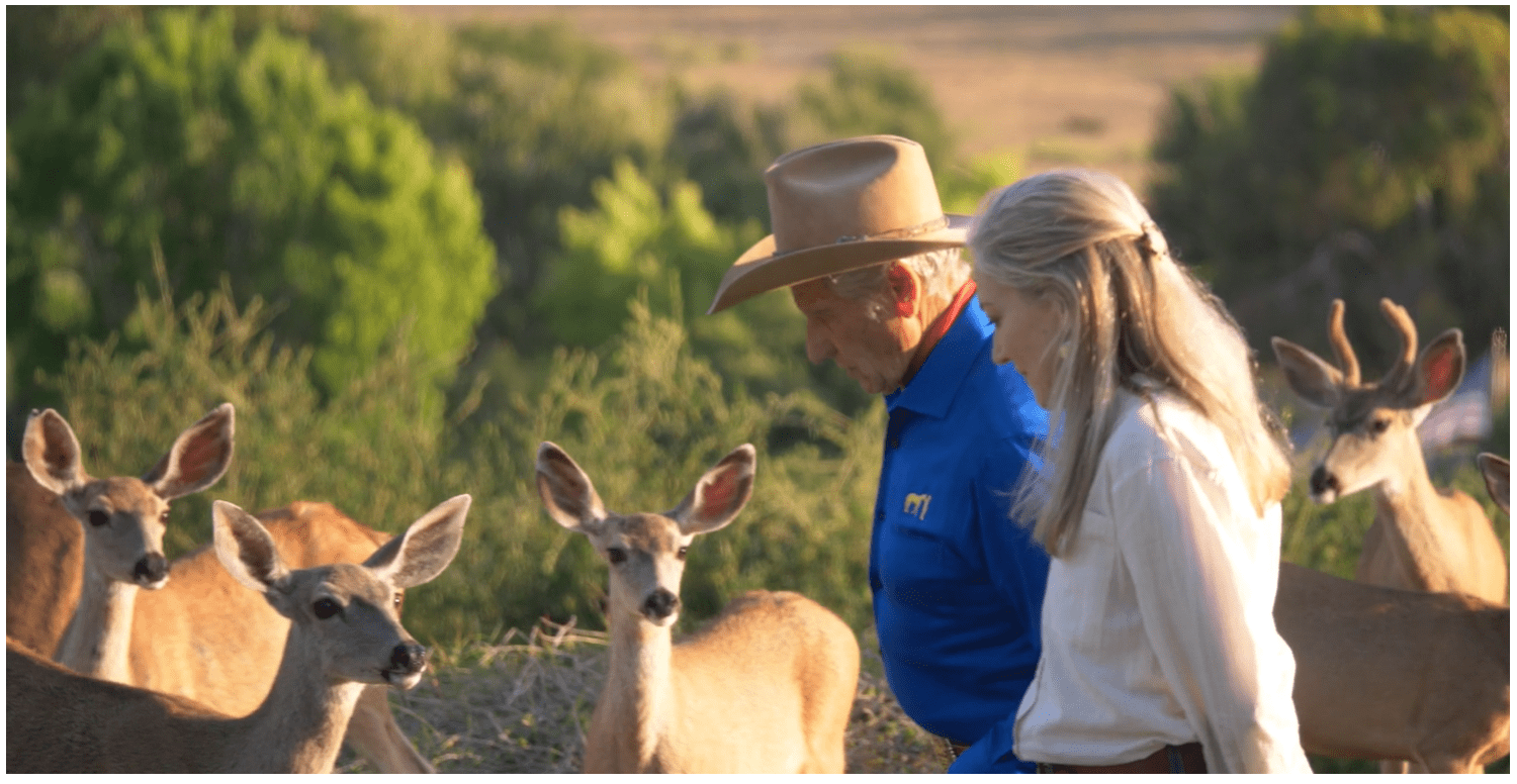 World-renowned Animal Advocate Laurie Hood Unveils New Project