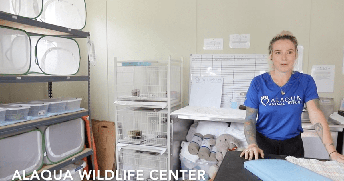 Alaqua Wildlife Rehabilitation Center Opens