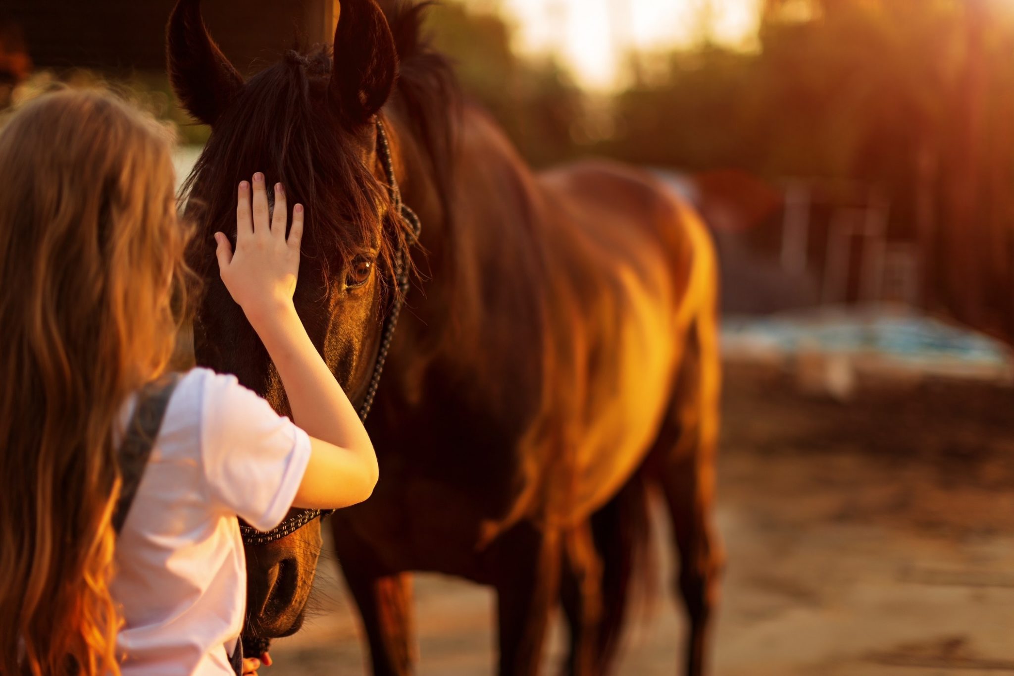 Alaqua, Healing Hoof Steps Partner to Provide Equine-Assisted Mental Health Therapy