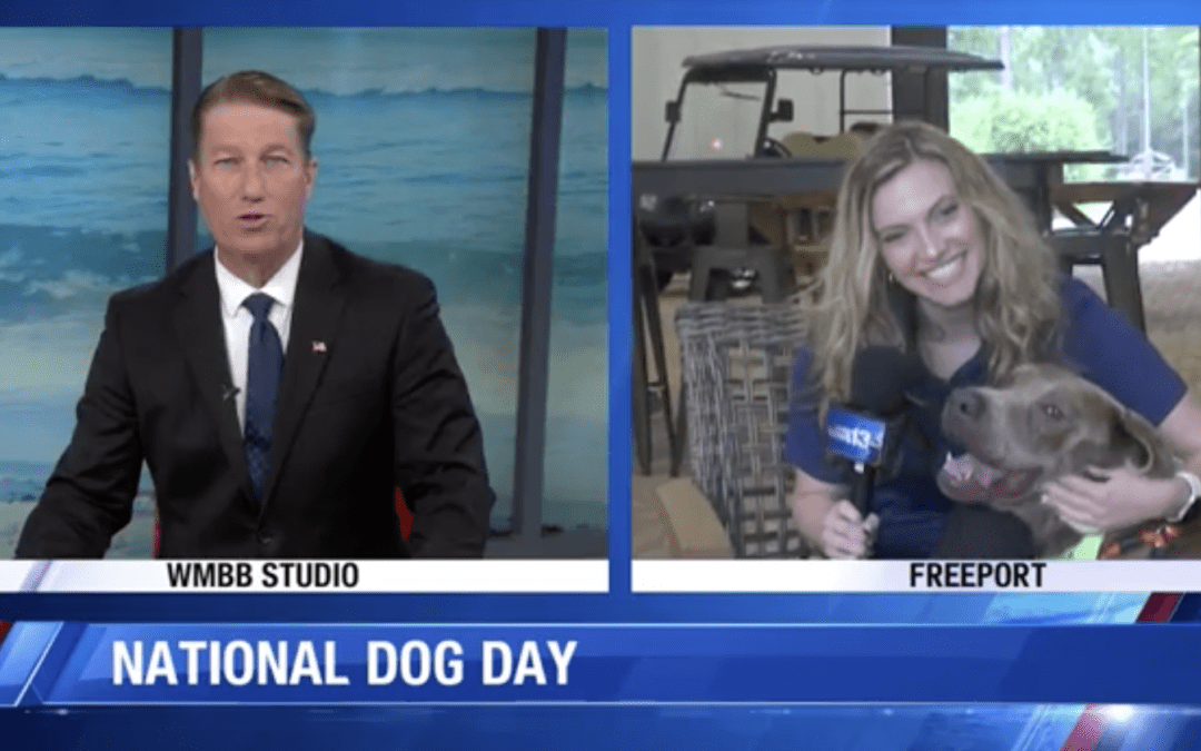 Celebrate National Dog Day with Alaqua