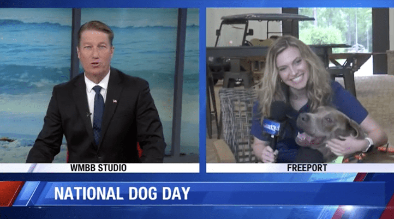 Celebrate National Dog Day with Alaqua