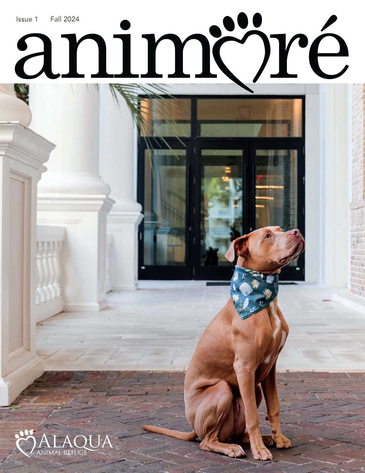 Animoré Magazine – Issue 1, Fall 2024