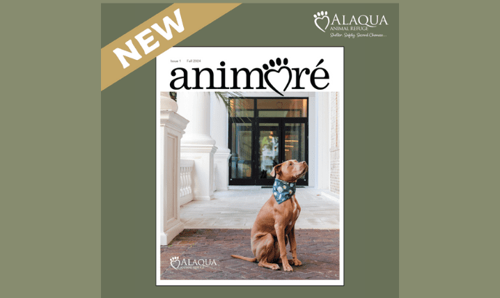 Alaqua introduces Animoré Magazine