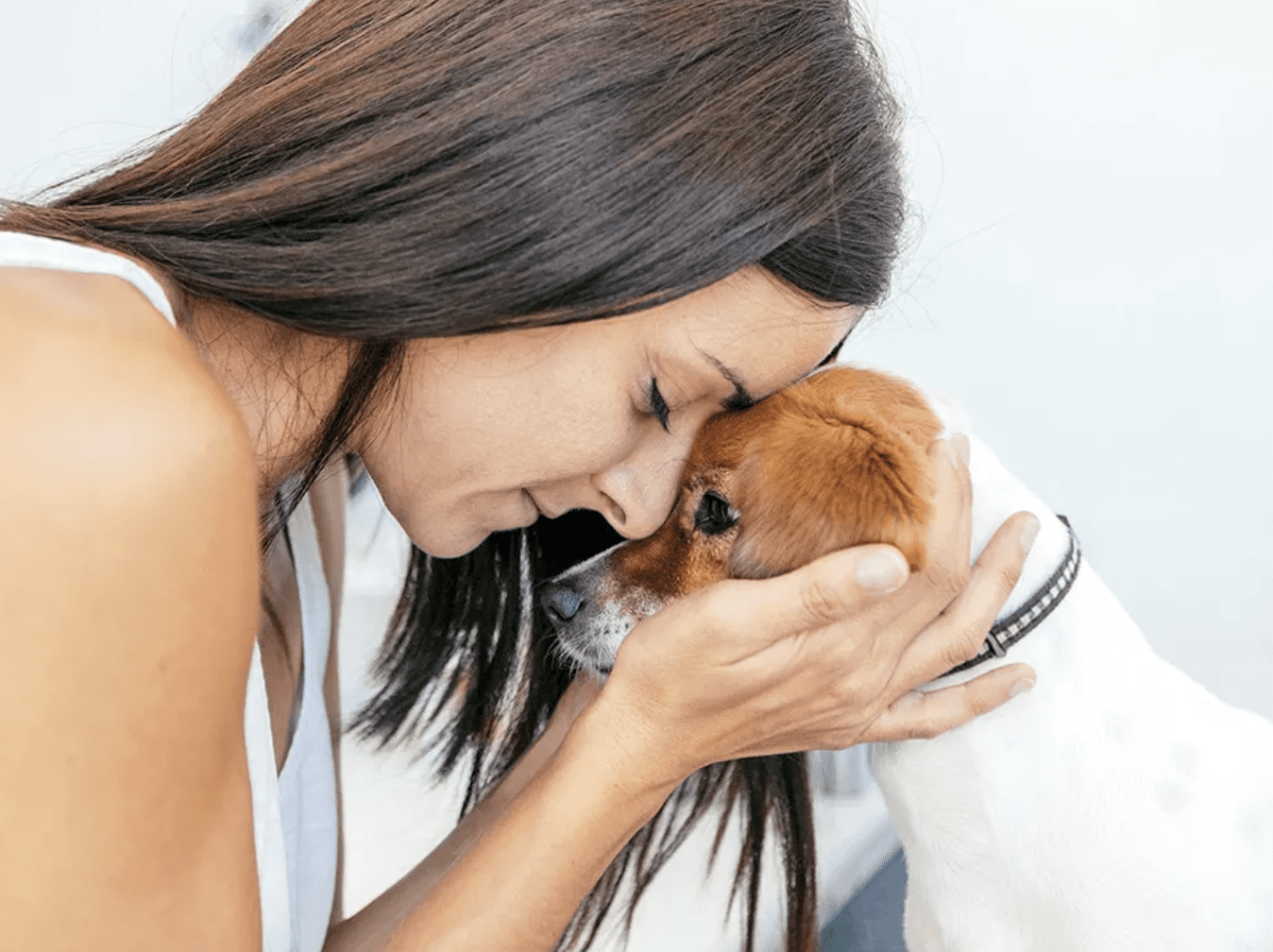 My Vet Told Me My Dog Only Had a Few Days to Live—And Now, She’s Thriving