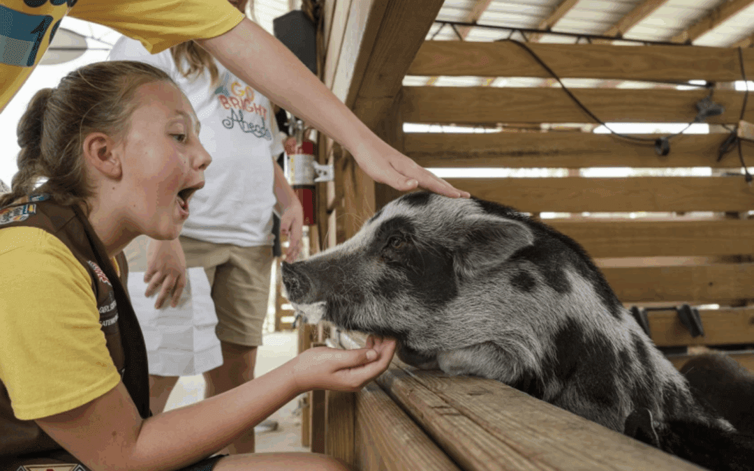 How Rescue Animals Are Teaching Students Emotional Awareness