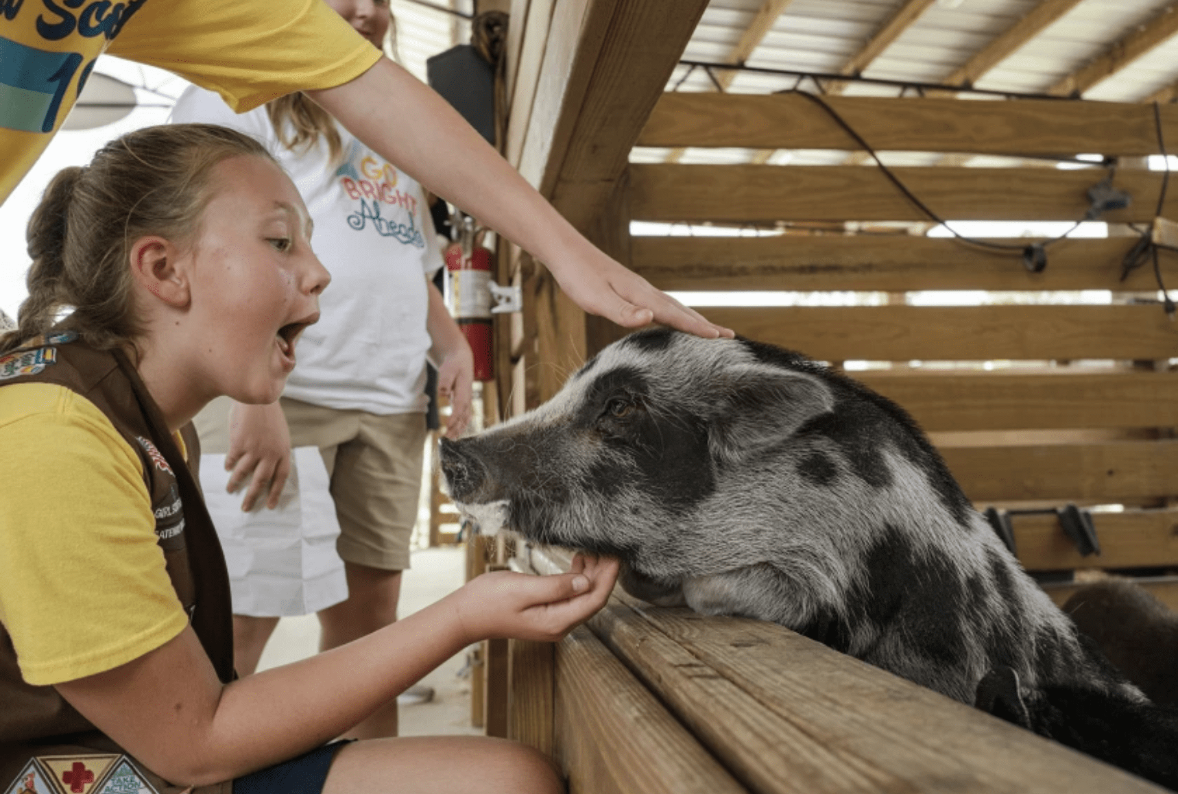 How Rescue Animals Are Teaching Students Emotional Awareness