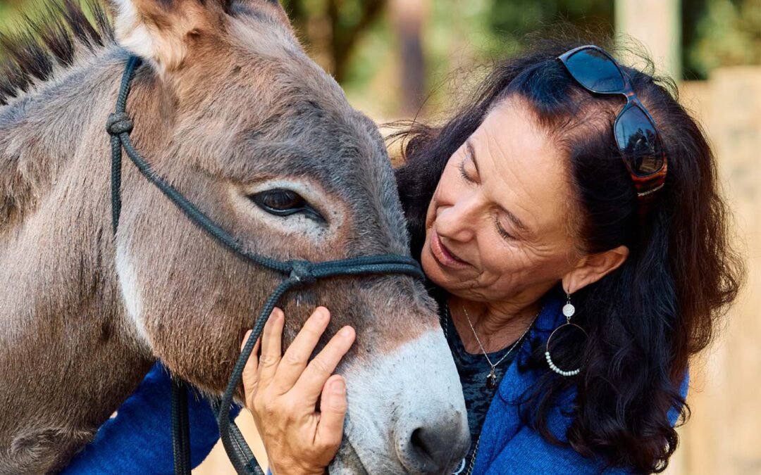 Animoré Magazine – Issue 3, Spring 2026