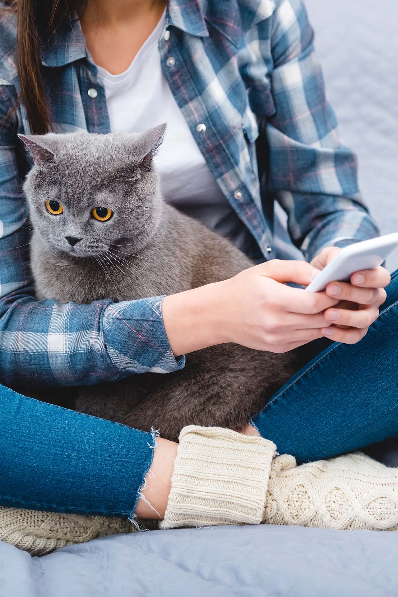 woman reading Alaqual's Feel Good Fridays newsletter on her phone with a cat on her lap