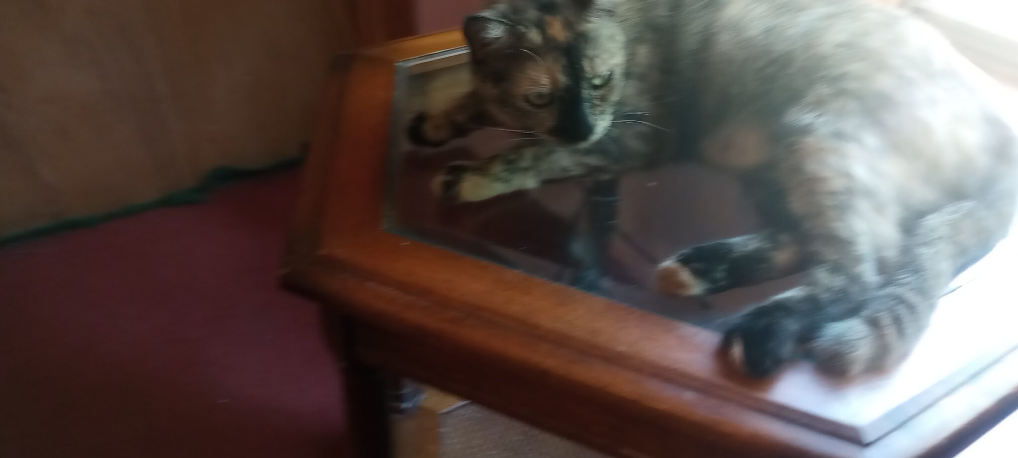 Mi-Mi