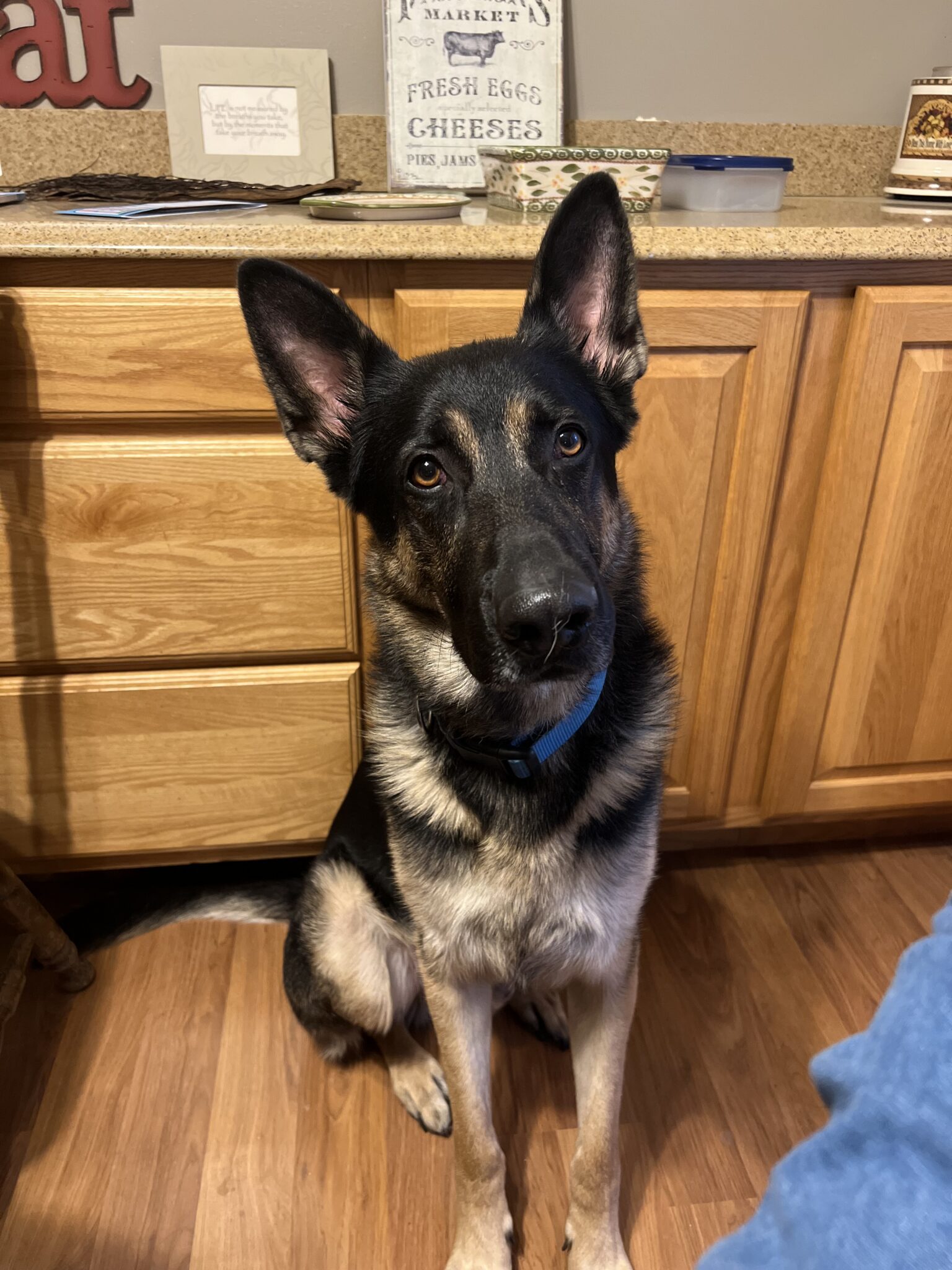 Milo