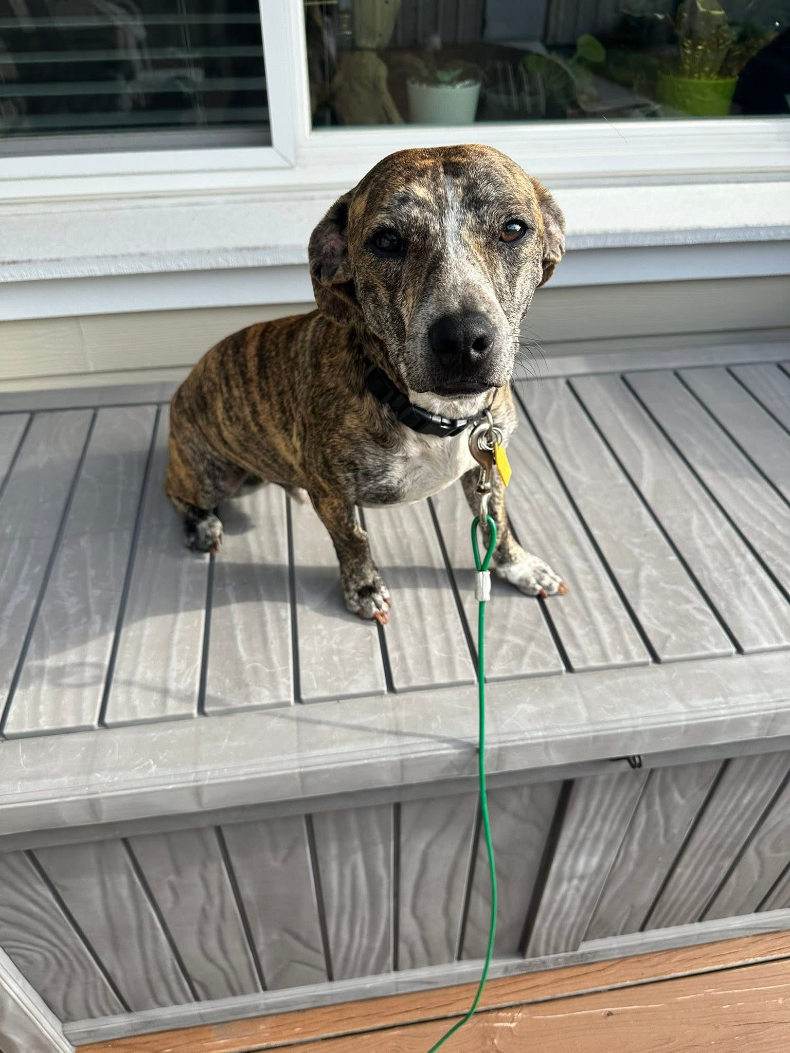 Linc