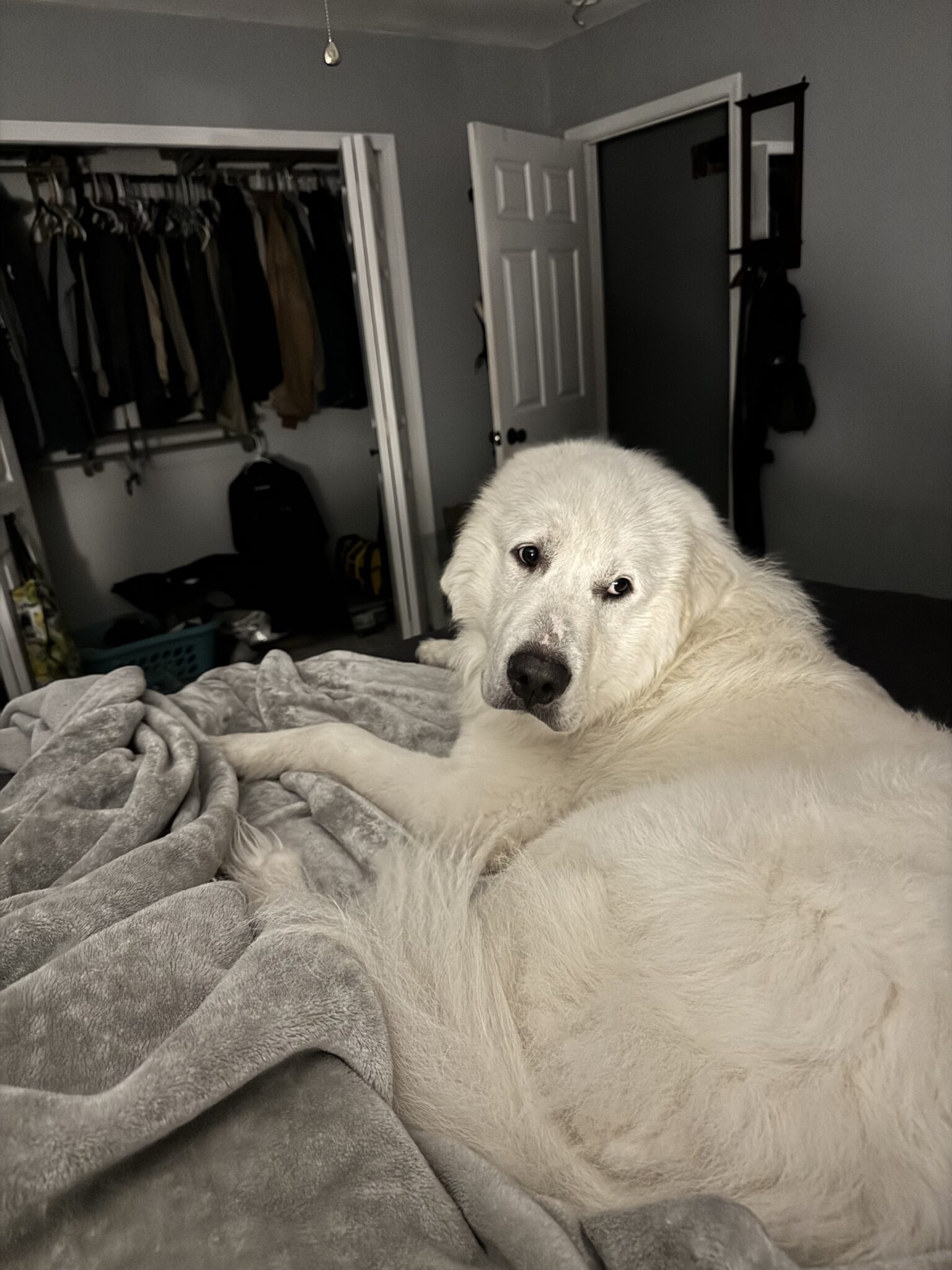 Olaf