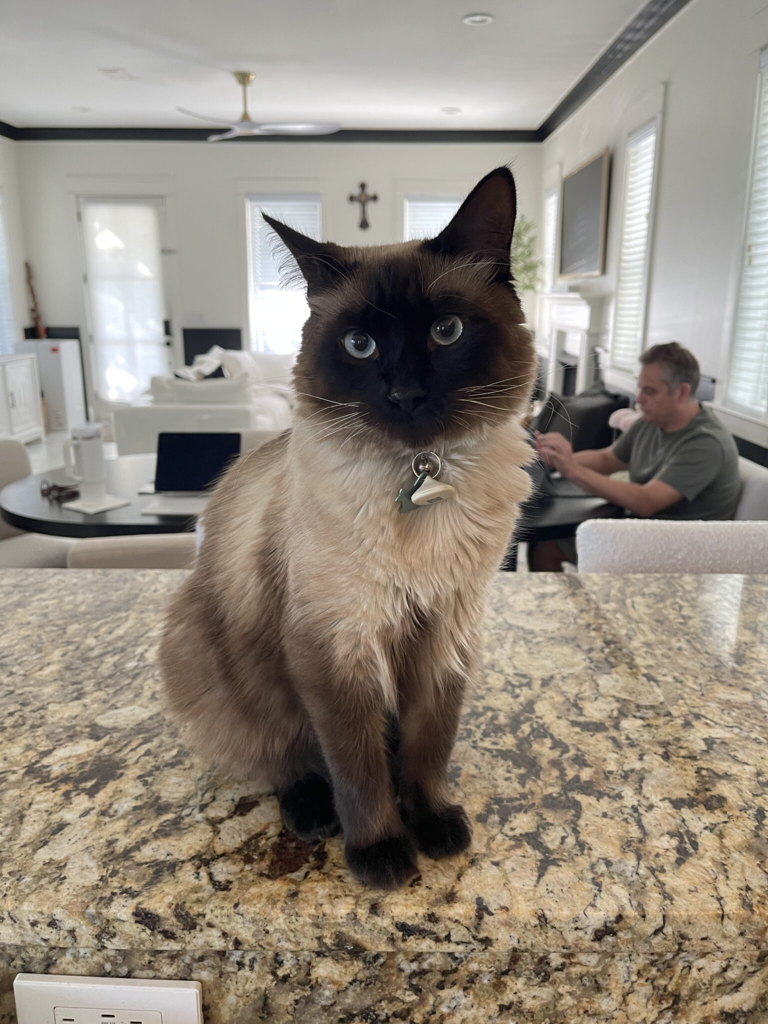 Miso