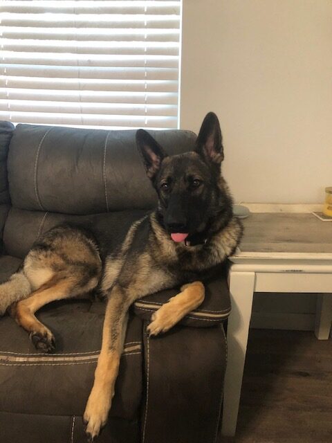 Athena