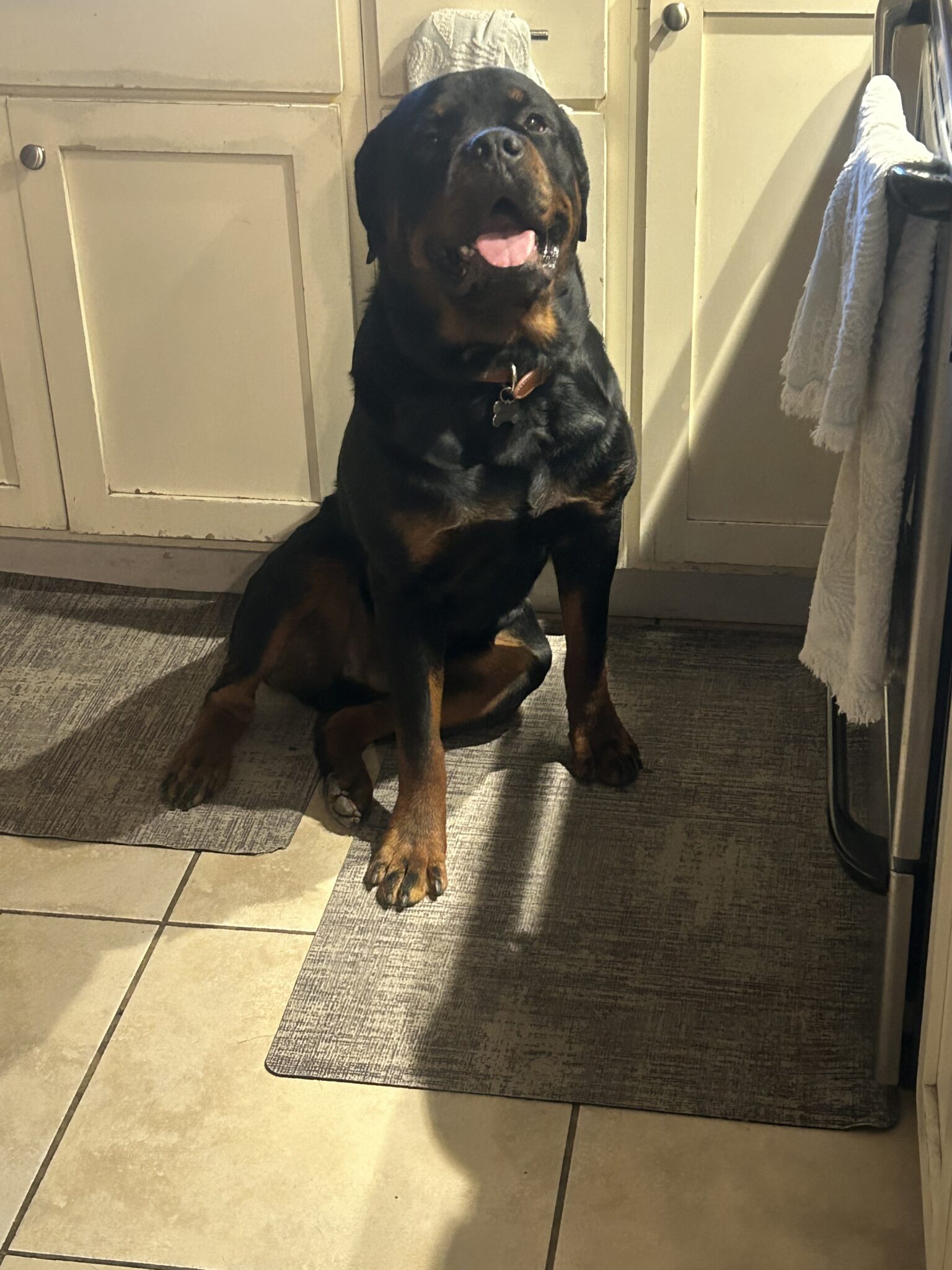 Canelo