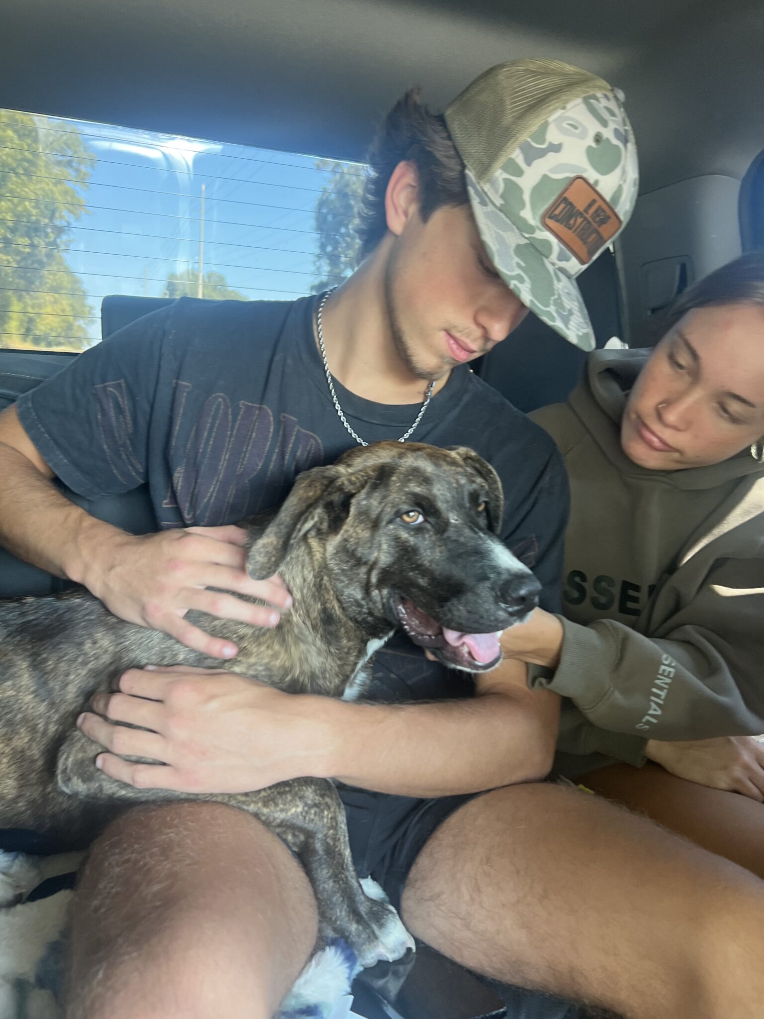 Bama