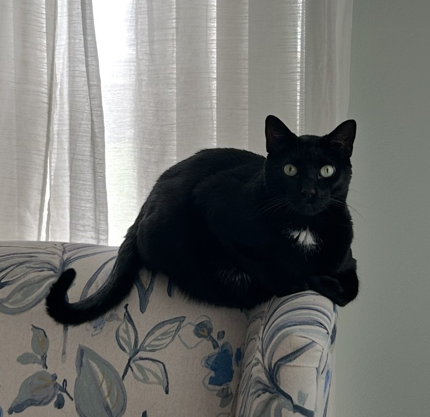 Fig