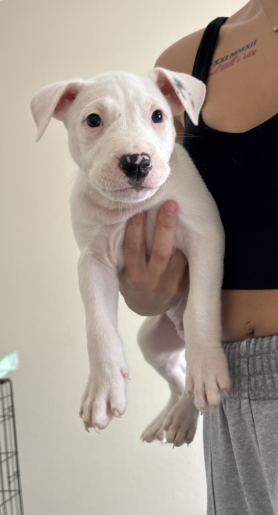 Zeus