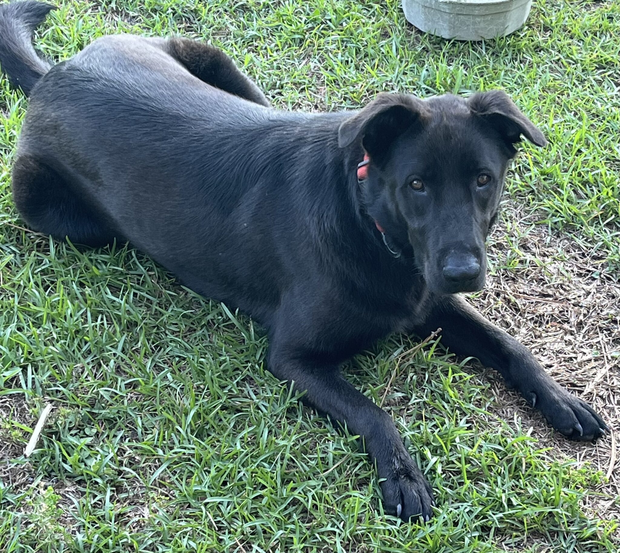 Suzie