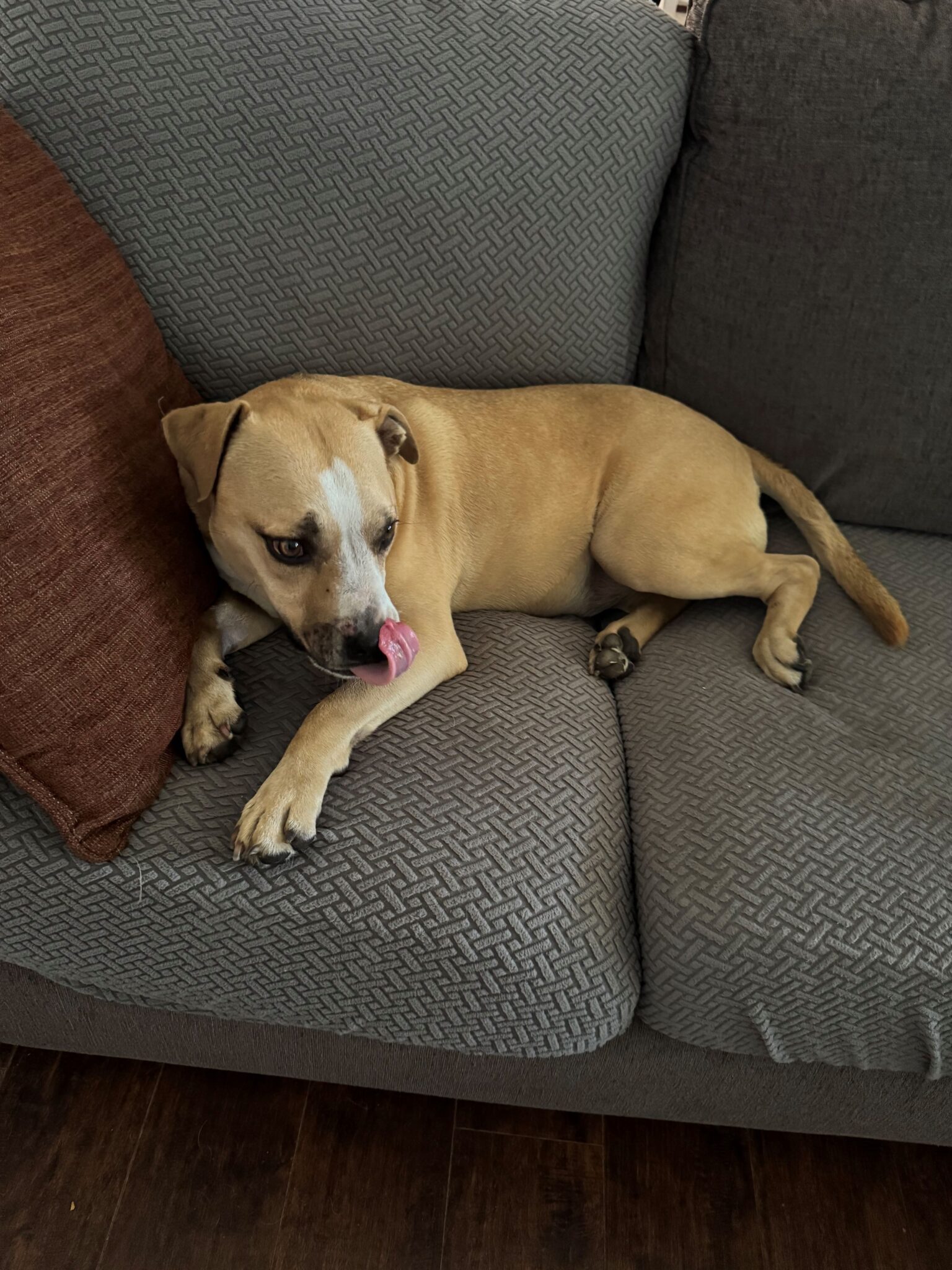 Murphy