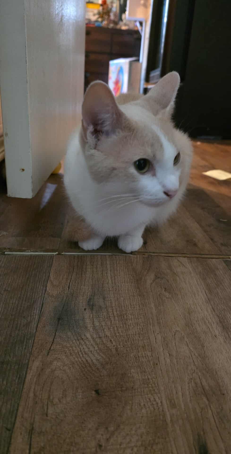 Smidge and S’mores