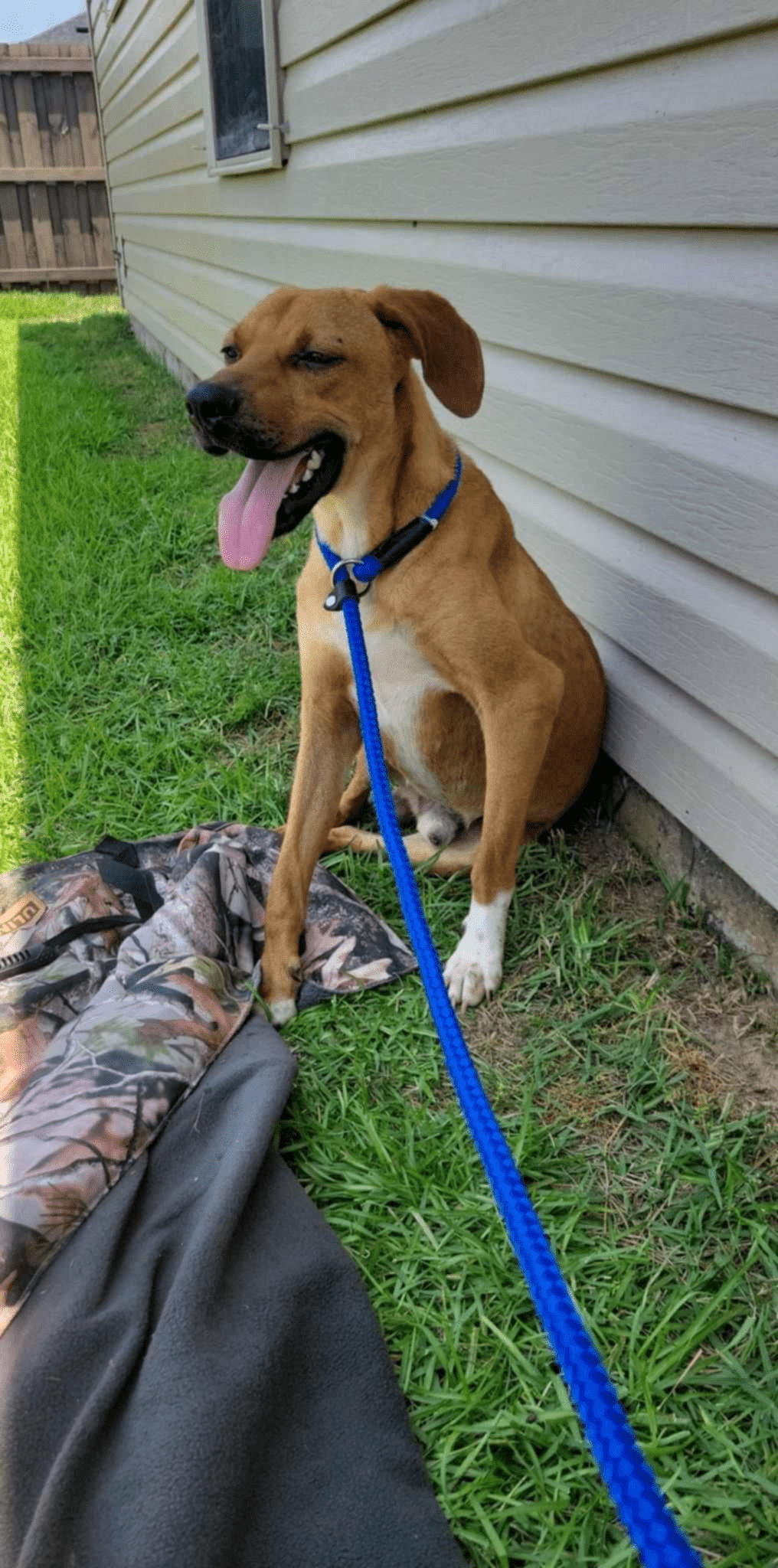 Sawyer